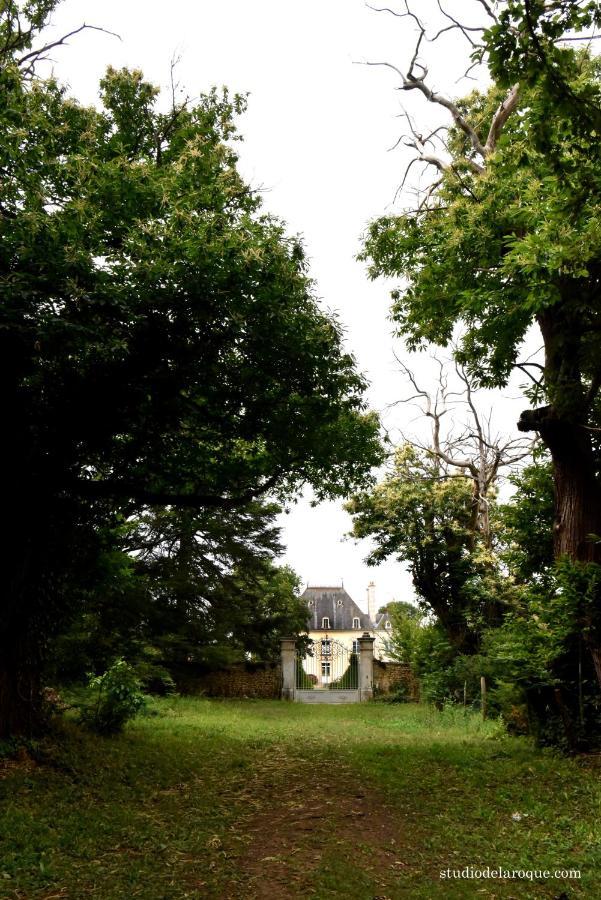 Sanxay Domaine De La Briouse Bed & Breakfast エクステリア 写真