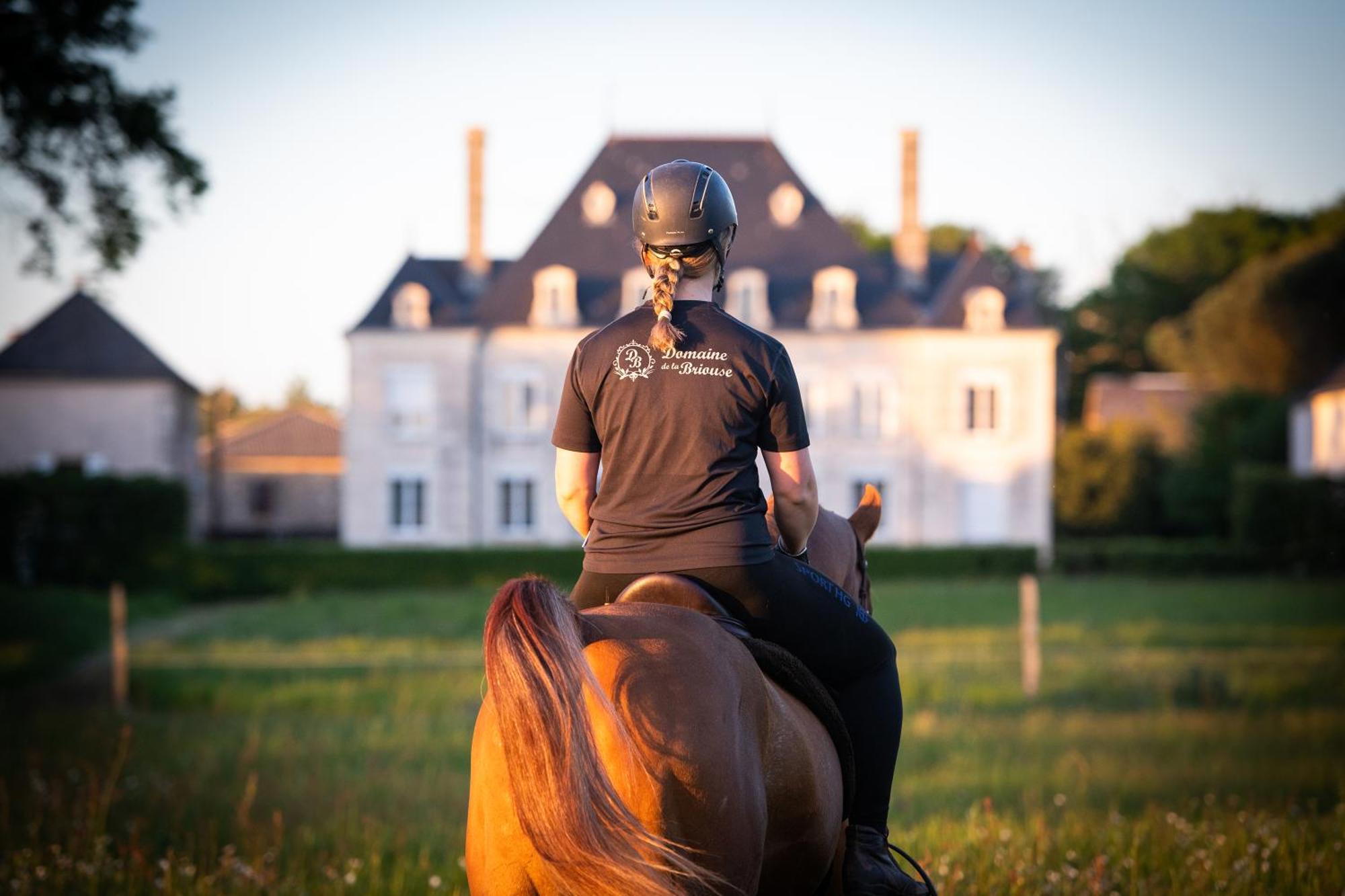 Sanxay Domaine De La Briouse Bed & Breakfast エクステリア 写真