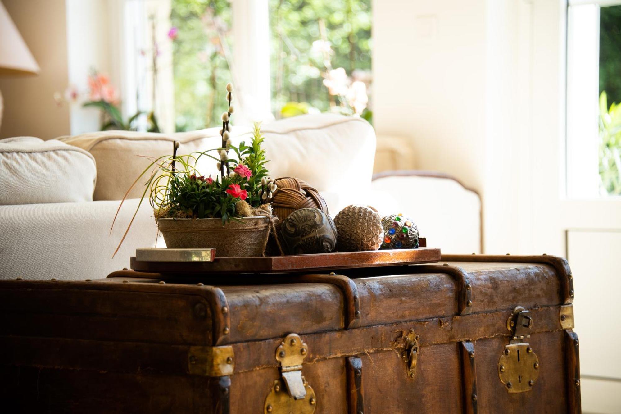 Sanxay Domaine De La Briouse Bed & Breakfast エクステリア 写真